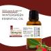 2 Bottles - 8 fl oz Wintergreen Essential Oil - Aluminum Bottle - Buy Online on GoSupps.com