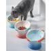 Raised Tilted Ceramic Cat Bowl - Cute Elevated Slanted Dish for Cat and Small Dog - Personalized Pet Feeder in Light Green - Buy Online on GoSupps.com