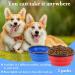 Vivifying 1000ml Foldable Dog Bowl - 2PC Silicone Travel Feeding Bowls for Dogs & Cats (Red+Blue) - Perfect for Pets on the Go - Buy Online on GoSupps.com