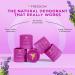 Freedom All Natural Deodorant for Women with 24-Hour Odor Protection & Eco-Friendly Aluminum Free Deodorant for Men Perfect for On The Go - Travel Mini's - 3 pack (Lavender) - Buy Online on GoSupps.com
