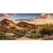 AWERT Reptile Habitat Background Blue Sky Oasis Cactus Sun and Desert Terrarium Background Durable Polyester Background 36x18in/90x45cm