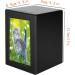 NEW DREAM Pet Cremation Box with Photo Frame | Dog Ashes Urn - Wood Keepsake Memorial Urn for Cats or Dogs (Black) - Buy Online on GoSupps.com