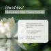 CD Soft Cream Water Lily 275 ml for Normal and Sensitive Skin 48h Moisture for Body Face and Hands/Vegan - Buy Online on GoSupps.com