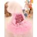 MaruPet Fashion Sweet Puppy Dog Blingbling Princess Skirt Pet Dog Lace Cake Camisole Tutu Dress Pink XXS XXS( Back:5.5" Chest:9.0") A-Pink - Buy Online on GoSupps.com