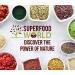 Organic Turmeric Powder - Pure & Potent Anti-Inflammatory Superfood with Natural Curcumin - 300g - Buy Online on GoSupps.com