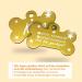Personalized Bone-Shaped Pendants for Dogs & Cats | Ibera Gifts - Custom Engraved Dog Collars in Gold with Stars - Buy Online on GoSupps.com
