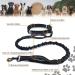 Premium Belt Bag with Jogging Leash for Dogs - Reinforced Stitches & Shock-Absorbing Bungee - Black/Blue - Buy Online on GoSupps.com