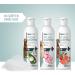 Reavet Dog Shampoo with Coconut Oil 250ml - Natural Care for Healthy Skin & Shine Easy Combability Best Shampoo for Dogs - Buy Online on GoSupps.com