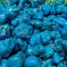 Natural Turquoise Loose Stone Mineral Specimens Stone Bonsai Stone Ore Symbiosis Rough Malachite Azurite B0Q1 Crystal Decor - Buy Online on GoSupps.com