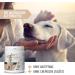 Reavet Gastric Mild Powder for Dogs 500g - Natural Digestive Support & Gastrointestinal Harmony with Bentonite & Probiotics - Buy Online on GoSupps.com