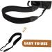 Gleavi 3ST Camera Strap - Universal Neck & Shoulder Strap | Perfect Gifts for Photographers - Buy Online on GoSupps.com