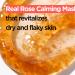 ISNTREE Real Rose Calming Face Mask - 60% Damask Rose Water Hyaluronic Acid & Amino Acids | Soothing & Moisturizing Korean Skincare 3.38 fl. oz - Buy Online on GoSupps.com
