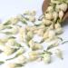 LWXLJMJZC-Jasmine Flower Tea -Dried Jasmine Flavor Tea -Herbal Blooming Tea 1.75oz/50g 50g Jasmine Flower Tea - Buy Online on GoSupps.com