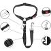 65-100cm Adjustable Dog Seat Belt for Cars UK Black Elastic and Crushioning Dog Car Harness with Headrest Safety Clip Durable and Heavy Duty - Buy Online on GoSupps.com