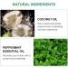 Natural Coconut Pulling Oil & Mint Mouthwash - Fresh Breath & Healthy Gums (8 Fl.Oz) - Organic Oil Pulling with Tongue Scraper - Buy Online on GoSupps.com