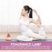 EXCEART Stone Lamp - Crystal Aroma Diffuser & Wax Tart Burner for Home | Scented Oil Warmer & Salt Rock Light in Purple Glass - Buy Online on GoSupps.com