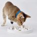 DotPet Ceramic Cat Slow Feeder Bowl - Anti-Gulping Interactive Pet Bowl for Healthy Eating, Preventing Bloat & Obesity - Buy Online on GoSupps.com