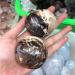for Opal Palm Stone Natural Minerals Crystals Gems Reiki for Sale Piedras decorativas para el hogar Natural Luster (Color : 1pcs Size : 60-80mm) 60-80mm 1pcs