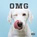 BULLY PALS - 6 inch Beef Trachea - 10 Pack - All Natural Single Ingredient Rawhide Free Dehydrated Dog Treats and Dental Chews - Buy Online on GoSupps.com