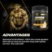 PVL Gold Series Domin8 Sport | pre-workout Superfuel | Peach Mango Punch | 225 G - Buy Online on GoSupps.com