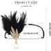 Handcess 1920s Flapper Feather Headband Black Feather Crystal Headband Women's Vintage Pearl Flapper Headpiece 20's Theme Cocktail Hair Accessories for Costume Prom Carnival Party - Buy Online on GoSupps.com
