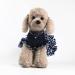 Barrageon Dogs Kneid Sweet Princess Rock Clothing - Summer Bowknot Outfit for Puppies & Cats | Blue Yellow Stripes | Medium Size (20 cm Back Length) - Buy Online on GoSupps.com