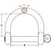 Stainless Steel 316 Wide D Shackle 3/8 (10mm) - Heavy Duty D Ring for Rigging and Lifting - Buy Online on GoSupps.com