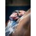 LeMieux Hippo Scrubber Horse Grooming Brush in Black with Sponge Flexible Bristles & Adjustable Straps - One Size - Buy Online on GoSupps.com