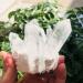Room Decoration 350g-900g Natural Clear Quartz Stone White Crystal Cluster 1pc (Color : 1pc 710g-760g) - Buy Online on GoSupps.com