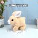 LYINUR Interactive Rabbit Toy with Carrot - Walking, Talking, and Hopping Bunny Toy for Kids - Funny Plush Stuffed Bunny Toy with Sounds and Movements (Yellow) - Buy Online on GoSupps.com
