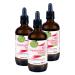 Kopp Vital Bio-Grapefruitkern extract drop |3 x 100 ml |Organic quality |Biological and vegan |With bioflavonoids from the grapefruit