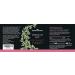 Premium OPC Skin & Cell Protection - High-Dose Vitamin C | Vegan 200mg Capsules from Spain | Lab Tested No Additives - Buy Online on GoSupps.com