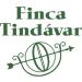 Finca Tindavar Finca Tind var olive oil virgin olive oil extra ecological and biodynamic piqu type can 3 l - Buy Online on GoSupps.com
