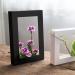 Floral Arranging Vase Set: Black Rectangle Photo Frame Shaped Plastic Ikebana Vases with Flower Frog - Ideal for Ikebana Floral Art Home Decor - Buy Online on GoSupps.com