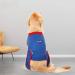 BT Bear Dog Surgery Recovery Suits Soft Elastic Cotton Pet Cat Recovery Jackets Vest After Surgery Clothing After Surgery Wear Anti Licking Wounds (XX-Large) - Buy Online on GoSupps.com