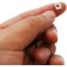 Dragon Acupuncture Ear Seeds 600 Count Refill Pack - Natural Pain Relief - Buy Online on GoSupps.com