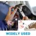 Tonsil Stone Remover & Wisdom Teeth Cleaner | Dental Irrigation Kit with Curved Tip for Oral Care | 5 Pcs - Buy Online on GoSupps.com