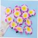Angoily Hair Accessory for Girls Hair Clips for Girls Barrettes for Girls Hibiscus Flower Hair Clips Summer Hair Clips Accesorios Para Plumeria Hair Clip Hair Accessories The Flowers - Buy Online on GoSupps.com