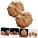Toyvian 10 STK Handmill Deast Bath for Adults - Chinese Meditation Baoding Balls & Popuck T-Tool for Relaxation - Buy Online on GoSupps.com