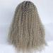 Buy Gradient Small Roll Front Lace Wig | Premium Chemical Fiber Wig for Stunning Styles - Buy Online on GoSupps.com