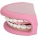 Dental Care Model for Kids | Flexible False Teeth for Speech & Language Development - Buy Online on GoSupps.com