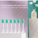 6-Pack Compatible Toothbrush Heads for Xiaomi Mijia / Mi Home T300 T500 Series Sonic Electric Brushes - Buy Online on GoSupps.com