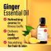 H ana 100% Natural Ginger Oil for Body & Hair - Etheric Massage Oil & Diffuser - 30 ml (1 Pack) - Buy Online on GoSupps.com