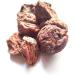 Vinarghya Belgiri Dry/Natural Wood Apple/Beal Fruit/Bel Giri/Bail Phal/Aegle marmelos/Vael/Bela/Bilva/Bill/Bilum/Koovalam/Baela/Vilvam/Maredu 100g - Buy Online on GoSupps.com