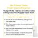 numbuzin No.2 Cleansing Foam | Deep Clean Fresh Cream Cleanser | Foam Cleanser Gentle Exfoliation Deep Cleansing Natural Ingredients | Blackheads Excess Oil Dead Skin Cells | 4.05 fl. oz. - Buy Online on GoSupps.com