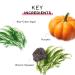 MyCHELLE Dermaceuticals Pumpkin Cleanser 4.2 Fl Oz - Daily Facial Cleanser with Pumpkin Seed Oil & Cloudberry Extract - Buy Online on GoSupps.com