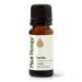 Plant Therapy Vanilla Extract 10 mL (1/3 oz) 100% Pure Undiluted Therapeutic Grade