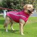 Waterproof Dog Coat for XL-6XL XXL Rose: Winter Warm Jacket for Small to Large Dogs - Windproof Pet Clothes with Harness Hole by Idepet - Buy Online on GoSupps.com