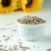 5kg Sunflower Seeds for Wild Birds - Premium Peeled Scatter Feed in Bucket - Buy Online on GoSupps.com