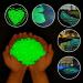 300 Colorful Fluorescent Stones - Bright Garden Pebbles for Sidewalks & Decoration | International Shipping Available - Buy Online on GoSupps.com